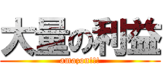 大量の利益 (amazon!!!)