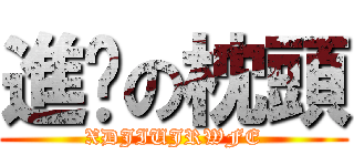 進擊の枕頭 (XDJIUJRWFE)