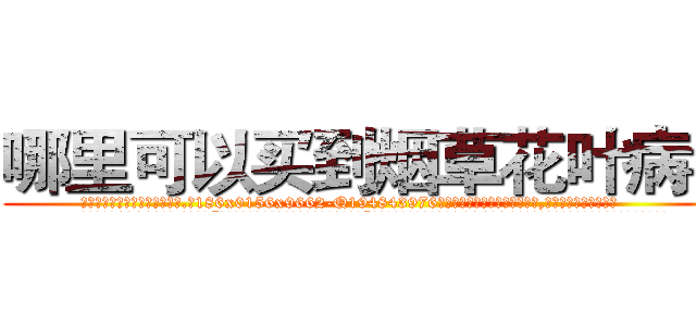 哪里可以买到烟草花叶病毒 (哪里可以买到烟草花叶病毒【电.话186x0156x9662-Q194843976林氏药业】我们做的是长期生意,靠的是老客户长期支持
参考消息网2月20日报道 韩媒称，“剩女多、离婚率高的城市，房价一定会上涨。”这是中国经济学家金岩石2016年12月参加在上海举行的房地产相关论坛时说的话。
)