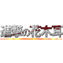 進撃の花木耳 (attack on titan)