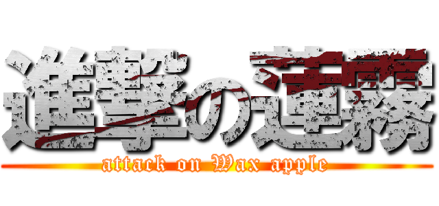 進撃の蓮霧 (attack on Wax apple)