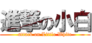 進撃の小白 (attack on Little White)