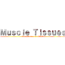 Ｍｕｓｃｌｅ Ｔｉｓｓｕｅｓ (Adrian Baviera 12- SLDM)