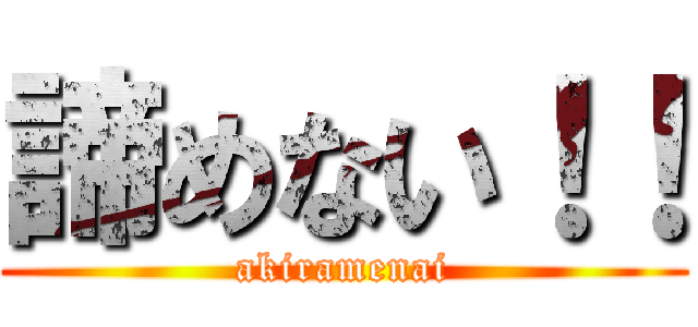 諦めない！！ (akiramenai)