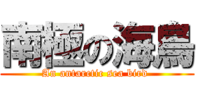 南極の海鳥 (An antarctic sea bird )