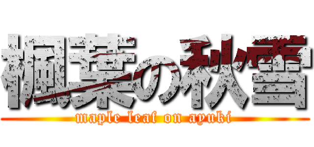 楓葉の秋雪 (maple leaf on ayuki)