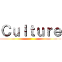 Ｃｕｌｔｕｒｅ ()