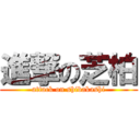 進撃の芝柏 (attack on shibakashi)