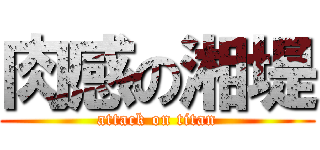 肉感の湘堤 (attack on titan)