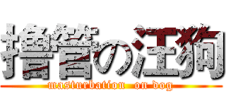 撸管の汪狗 (masturbation  on dog)