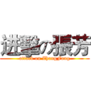 进擊の張芳 (attack on ZhangFang)