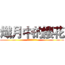 熾月中的櫻花 (ホーチミン中旬桜)