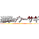 進撃のウーサギ (attack on titan)