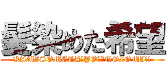 髪染めた希望 (KAMISOMETA　YO！　NOZOMI!!)
