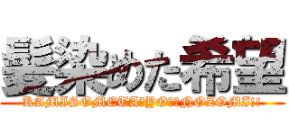 髪染めた希望 (KAMISOMETA　YO！　NOZOMI!!)