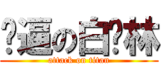 傻逼の白烨林 (attack on titan)