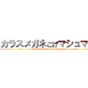 カラスメガネこげマシュマロ (karasumeganekogemasyumaro)