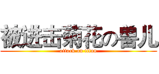 被进击菊花の兽儿 (attack on titan)