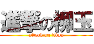 進撃の柳玉 (attack on titan)