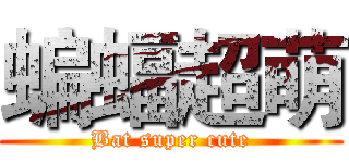 蝙蝠超萌 (Bat super cute)