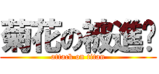 菊花の被進擊 (attack on titan)
