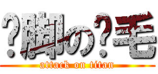 抠脚の搞毛 (attack on titan)