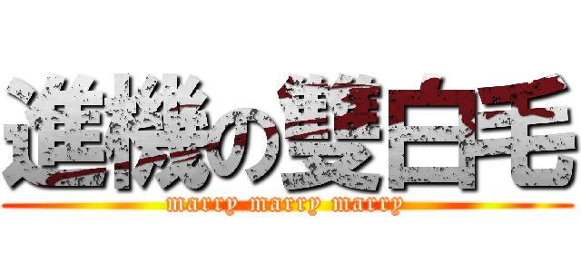 進機の雙白毛 (marry marry marry)