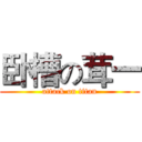 卧槽の茸一 (attack on titan)
