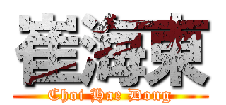 崔海東 (Choi Hae Dong)