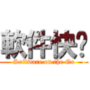 軟件快跑 (Software on the Go)