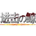 进击の鲸 (only the whale)