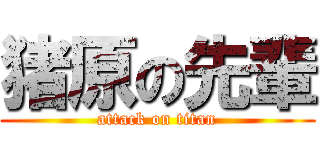 猪原の先輩 (attack on titan)