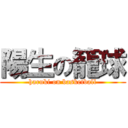 陽生の籠球 (haruki on basketball)