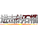 进击的石榴 (aggressive    sixteen)