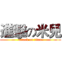 進擊の米兒 (attack on titan)