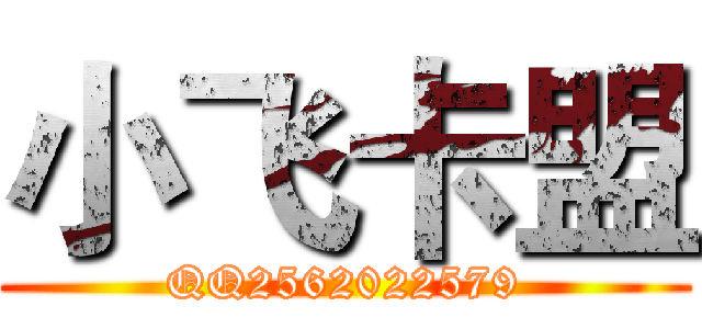 小飞卡盟 (QQ2562022579)