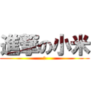 進撃の小米 (米)