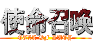 使命召唤 (CALL OF DUTY)