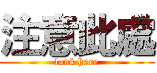 注意此處 (look here)