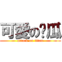 可愛の傻瓜 (attack on titan)