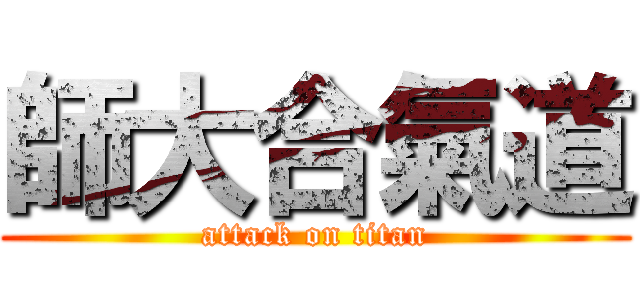 師大合氣道 (attack on titan)