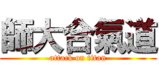 師大合氣道 (attack on titan)