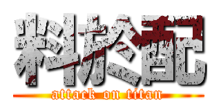 料於配 (attack on titan)