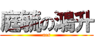 庭毓の鴻升 (aes)