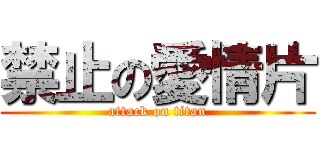 禁止の愛情片 (attack on titan)