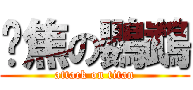 烤焦の鸚鵡 (attack on titan)