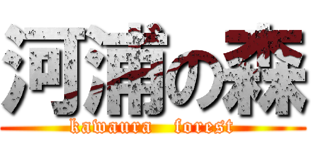 河浦の森 (kawaura   forest)