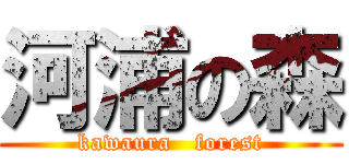 河浦の森 (kawaura   forest)