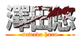 澤田悠 (sawada haru)