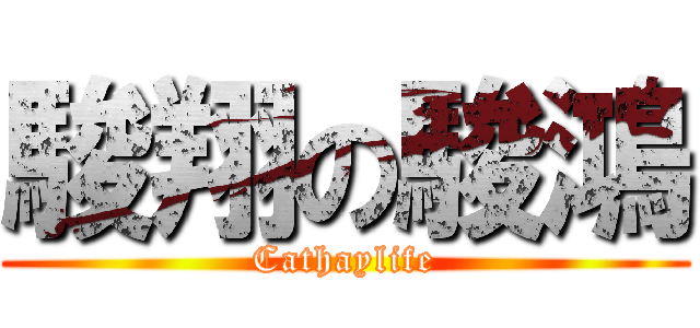駿翔の駿鴻 (Cathaylife)